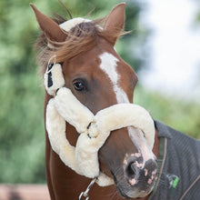 Load image into Gallery viewer, EcoRider Supreme Teddy Headcollar