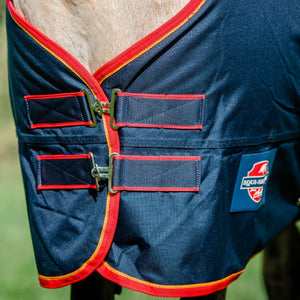 Mackey Equisential 0g Turnout Rug