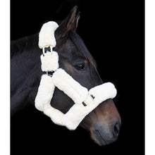 Load image into Gallery viewer, EcoRider Supreme Teddy Headcollar