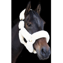 Load image into Gallery viewer, EcoRider Supreme Teddy Headcollar