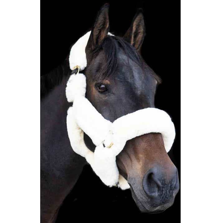 EcoRider Supreme Teddy Headcollar