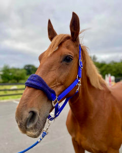 Cameo Comfort Headcollar & Leadrope Set