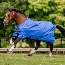 Load image into Gallery viewer, Horseware Amigo Hero Ripstop Light Turnout Rug