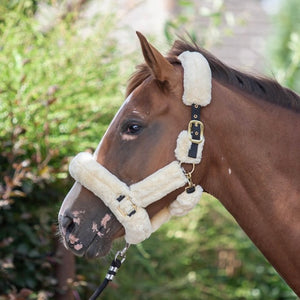 EcoRider Supreme Teddy Headcollar