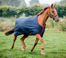 Load image into Gallery viewer, Mackey Equisential 0g Turnout Rug