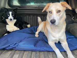 Waterproof Dog Bed