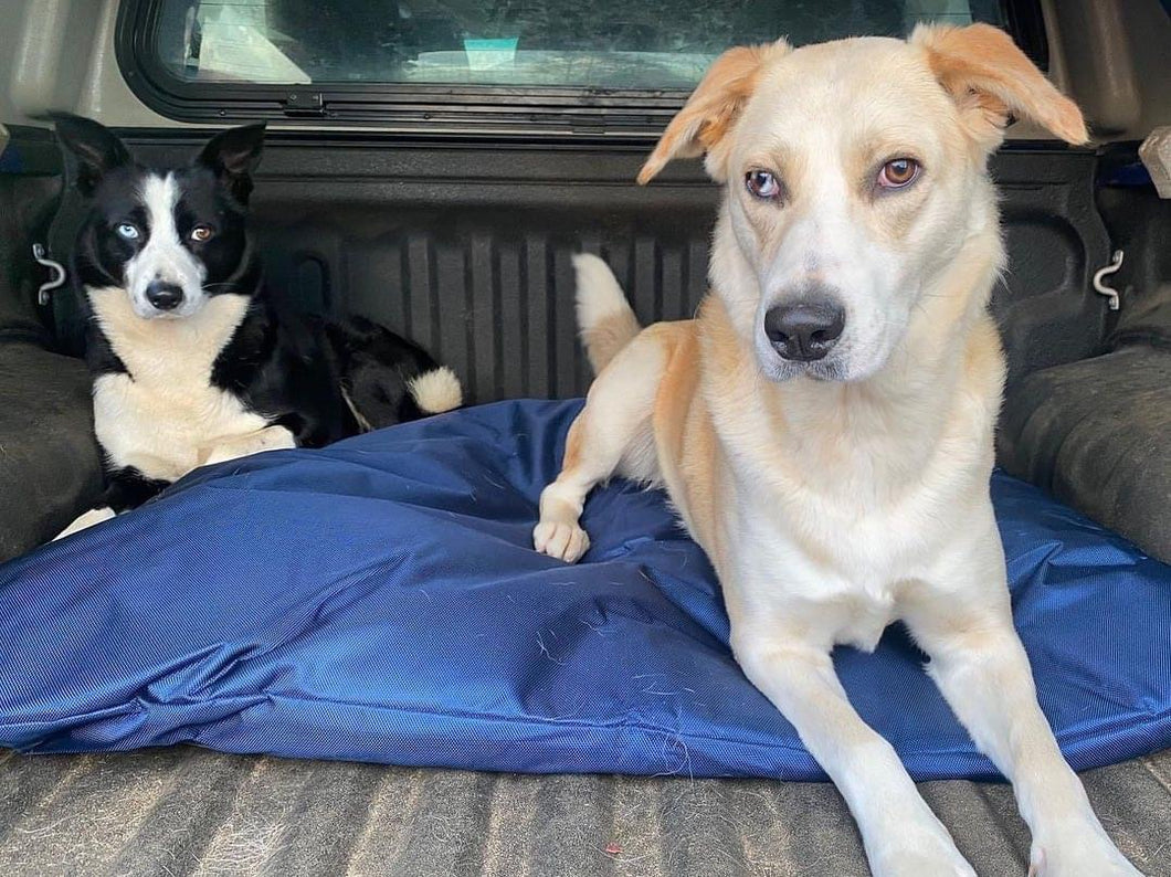 Waterproof Dog Bed