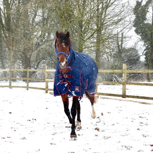 Mackey Keadeen Plus 300g Turnout Rug