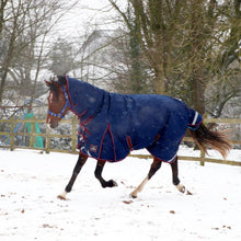 Load image into Gallery viewer, Mackey Keadeen Plus 300g Turnout Rug