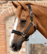 Load image into Gallery viewer, Premier Equine Fleece Padded Horse Headcollar