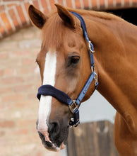 Load image into Gallery viewer, Premier Equine Fleece Padded Horse Headcollar