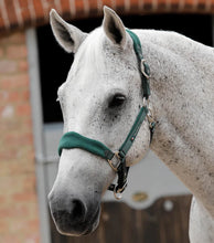 Load image into Gallery viewer, Premier Equine Fleece Padded Horse Headcollar