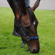 Load image into Gallery viewer, Equiline Headcollar - Timmy