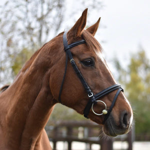 Mackey Equisential Flash Bridle with Reins