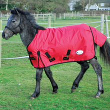 Load image into Gallery viewer, Rhinegold Small Pony/Foal 200g Turnout Rug