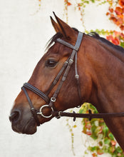 Load image into Gallery viewer, Mackey Equisential Flash Bridle with Reins