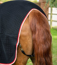 Load image into Gallery viewer, Premier Equine PremTex Horse Cooler Rug