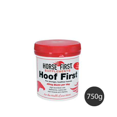 Horse First Hoof First