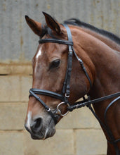 Load image into Gallery viewer, Mackey Equisential Flash Bridle with Reins