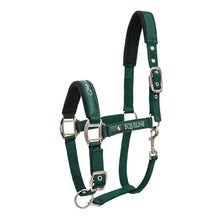 Load image into Gallery viewer, Equiline Headcollar - Timmy