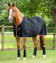 Load image into Gallery viewer, Premier Equine PremTex Horse Cooler Rug