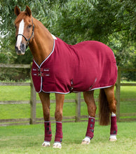 Load image into Gallery viewer, Premier Equine PremTex Horse Cooler Rug