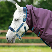 Load image into Gallery viewer, Premier Equine Titan 200g Turnout Rug with Snug-Fit Neck Cover