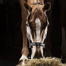 Load image into Gallery viewer, Equiline Headcollar - Timmy