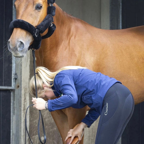 Ladies Breeches & Riding Tights – Bellisle Equestrian Store NI