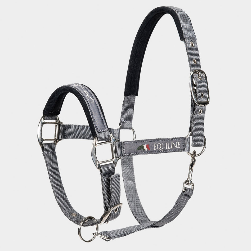 Equiline Headcollar - Timmy