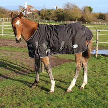 Load image into Gallery viewer, Rhinegold Small Pony/Foal 200g Turnout Rug